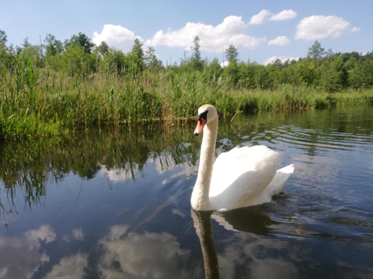 Apartamenty Na Szlaku Гижицко Екстериор снимка